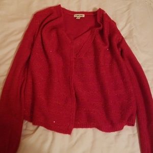 Sparkly Red Jacket